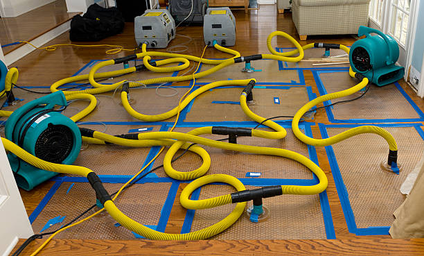 Professional Sewage Cleanup technician working in Islip, NY